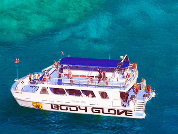 Big Island Whale Watching Catamaran Big Island Whale Watching Catamaran