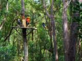  kohala zipline canopy tour