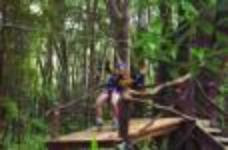 Big island eco adventures