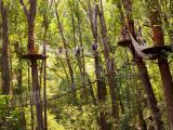 kohala zipline