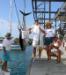  Big Island Activities