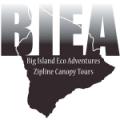  Big Island Hawaii Zipline
