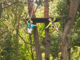  kohala zipline tour