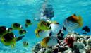 Big Island Tours Big Island Tours