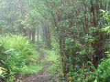Hawaii Tours Hawaii Tours