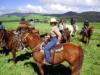 Cowboys of Hawaii Horseback Adventure