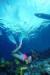 Big Island Watersports Snuba Shore Dive