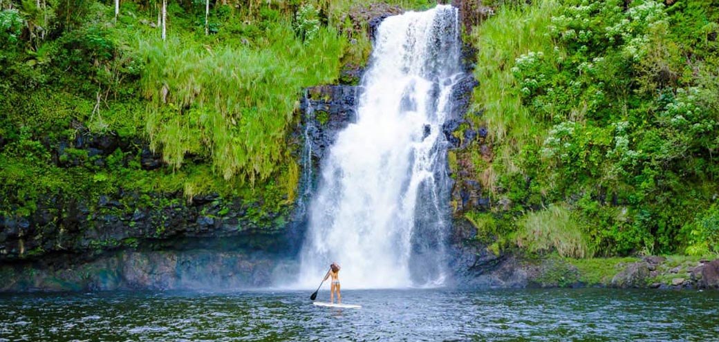 hawaii_forst_and_trail_hilo_tropical_waterfalls_tour